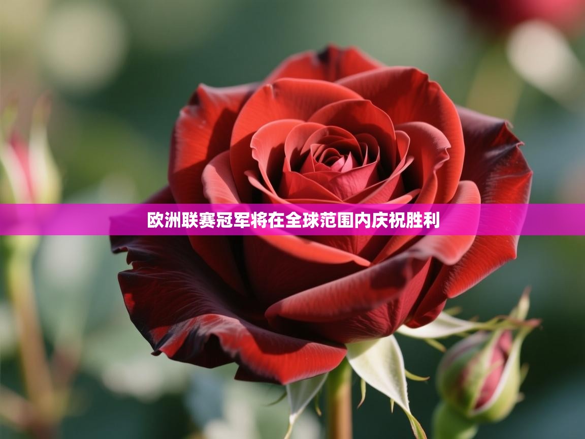 欧洲联赛冠军将在全球范围内庆祝胜利 第2张