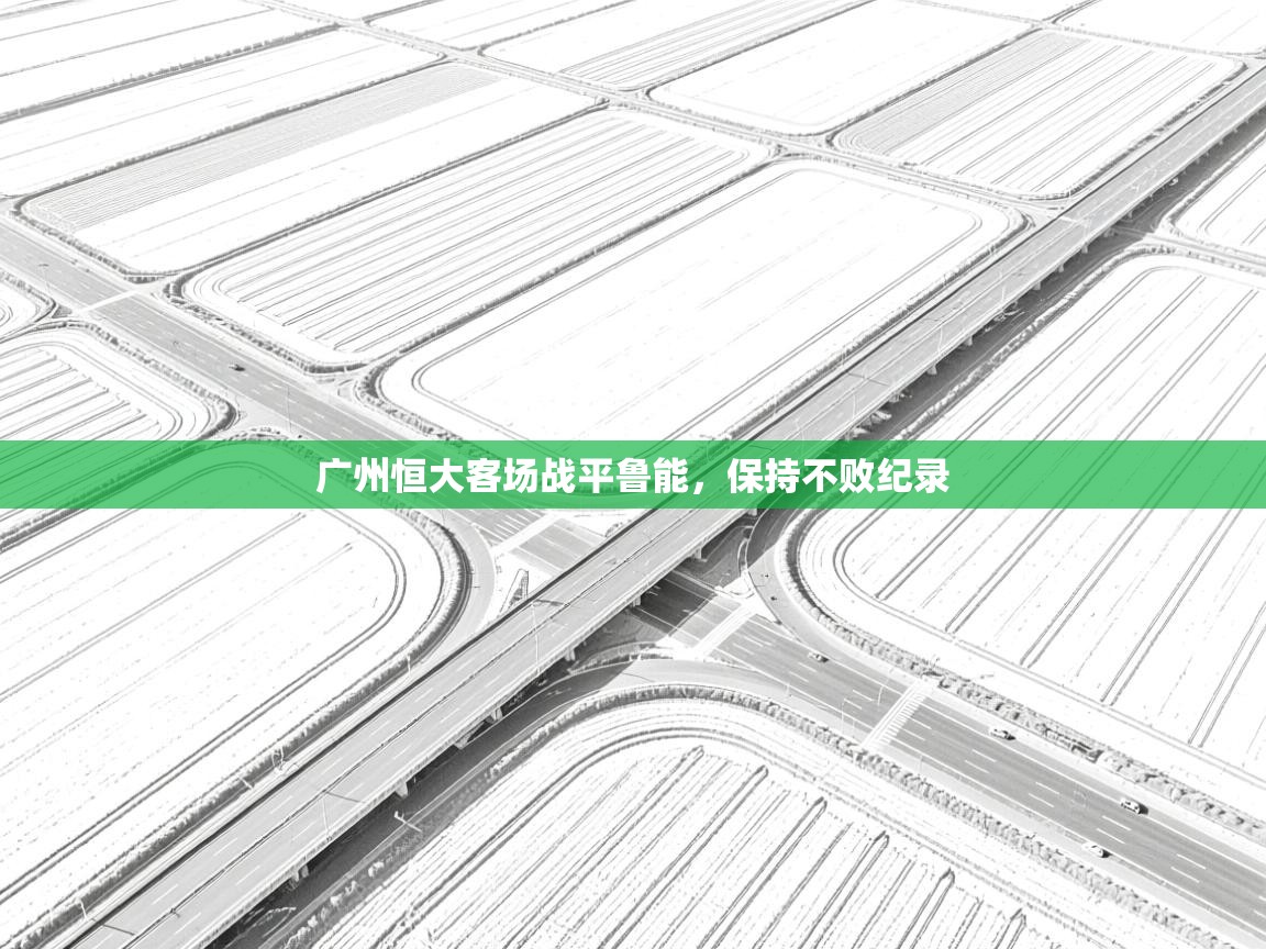 广州恒大客场战平鲁能，保持不败纪录  第2张