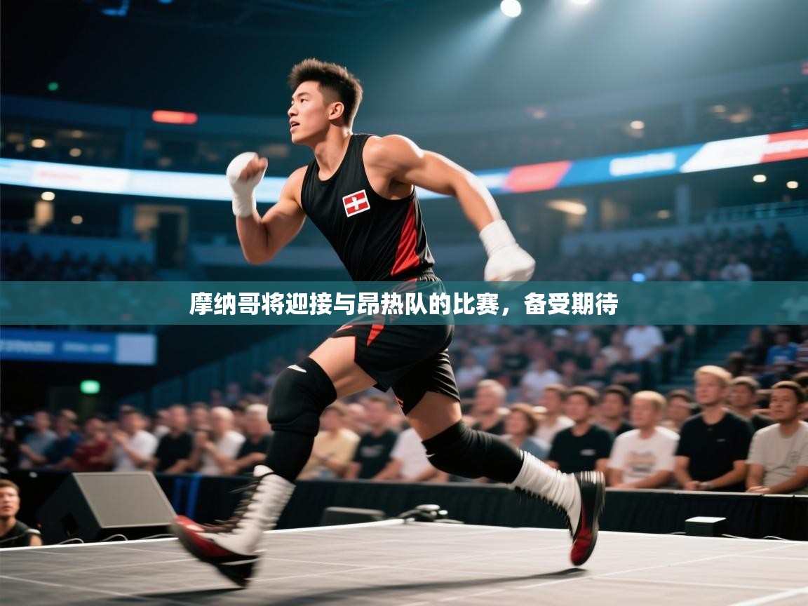 摩纳哥将迎接与昂热队的比赛,备受期待 第2张